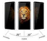 Galaxy S8 Privacy UV Liquid Glue Tempered Glass Protector