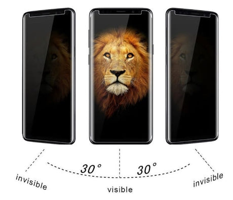 Galaxy S8 Privacy UV Liquid Glue Tempered Glass Protector